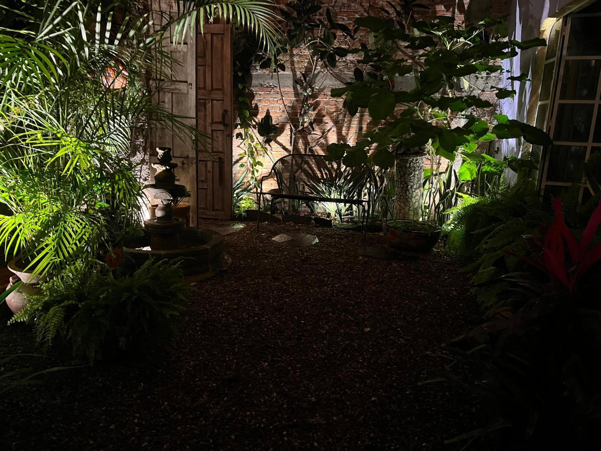 Boutique Hotel Casa Camellia San Miguel de Allende Exteriör bild