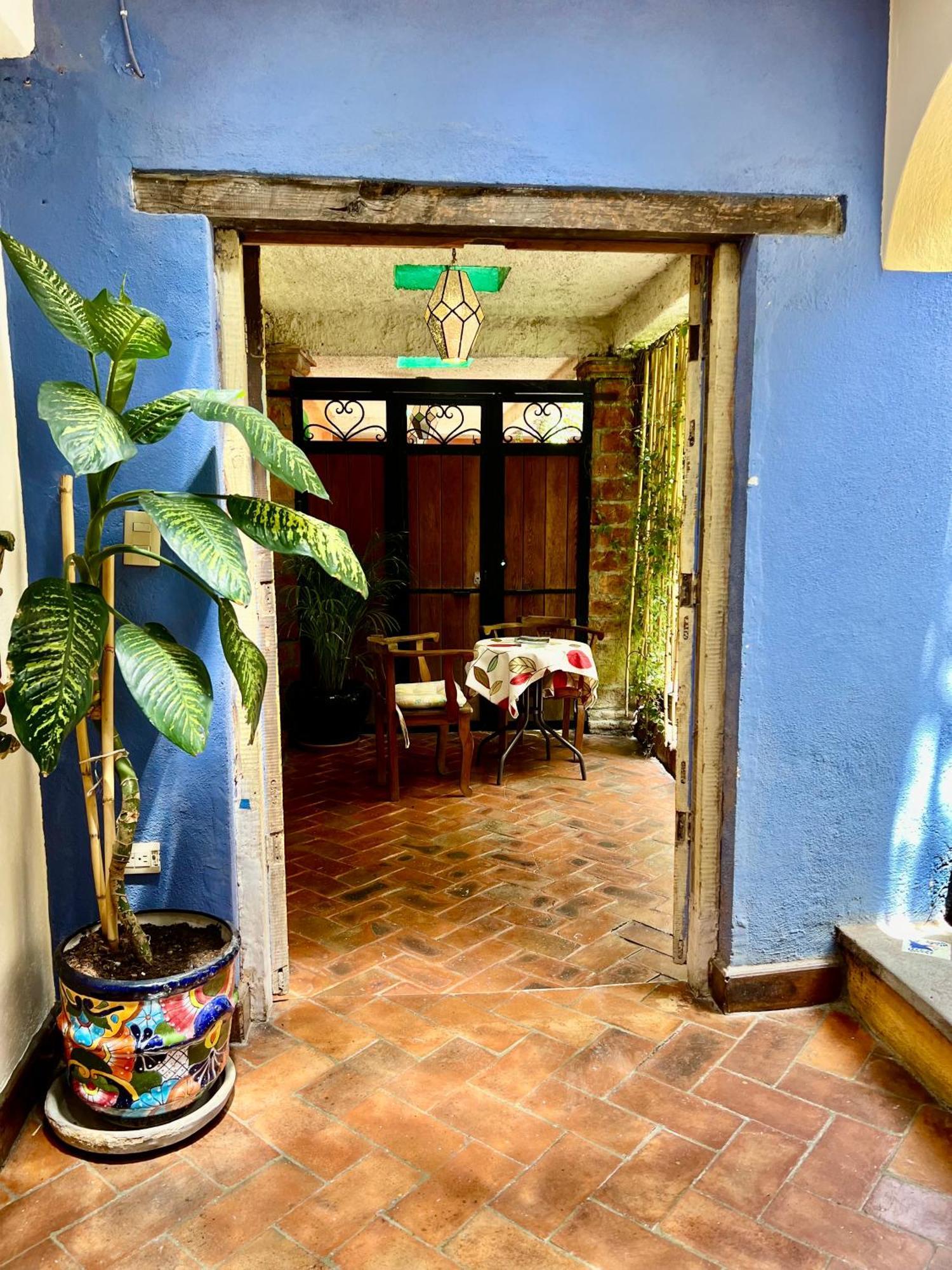 Boutique Hotel Casa Camellia San Miguel de Allende Exteriör bild